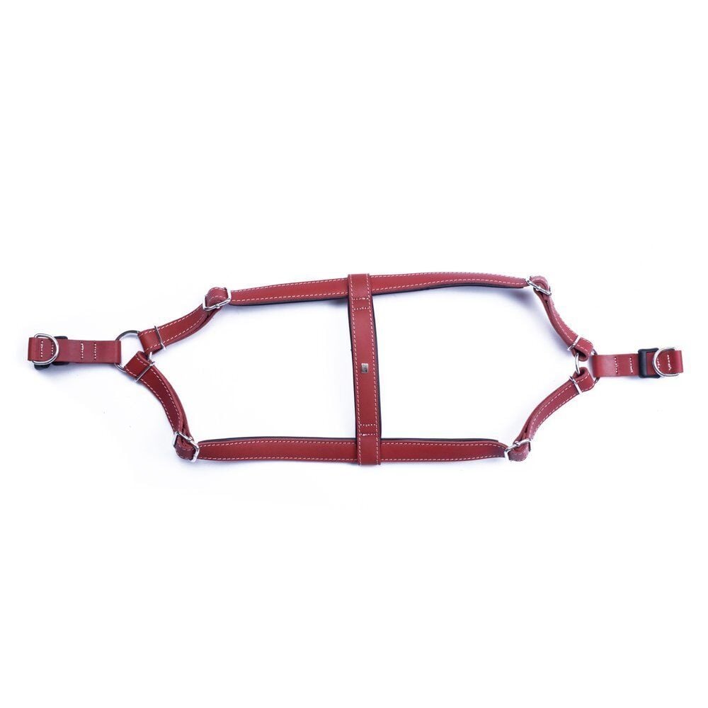 Doggie Konforlu Gerçek Deriden El Yapımı Ronin Model Köpek Göğüs Tasması XL-2,5x65-75cm - Red
