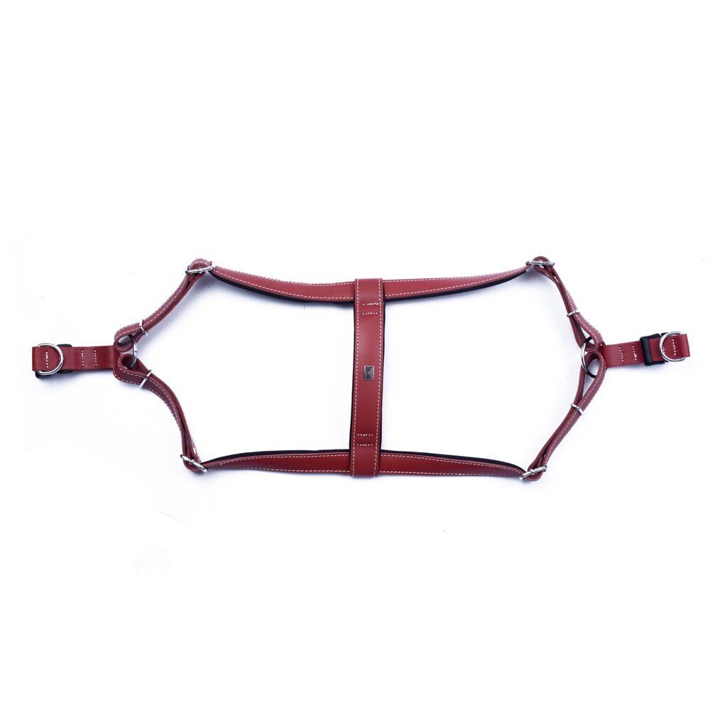 Doggie Konforlu Gerçek Deriden El Yapımı Ronin Model Köpek Göğüs Tasması XXL-3x70-80cm - Red