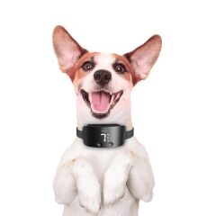 Doggie Havlama Önleyici Eğitim Tasması Black