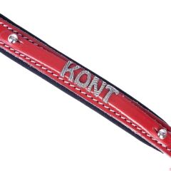 Doggie Konforlu Gerçek Deriden El Yapımı İsimlikli Köpek Boyun Tasması 1,5x20-25cm - Red