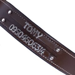 Doggie Konforlu Gerçek Deriden El Yapımı Çift İsimlikli Köpek Boyun Tasması 3,5x47-55cm - Brown