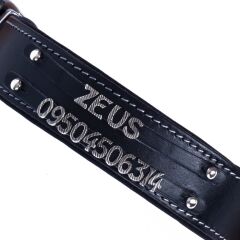 Doggie Konforlu Gerçek Deriden El Yapımı Çift İsimlikli Köpek Boyun Tasması 3,5x47-55cm - Black