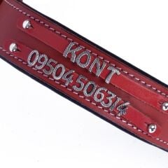 Doggie Konforlu Gerçek Deriden El Yapımı Çift İsimlikli Köpek Boyun Tasması 4x52-60cm - Red