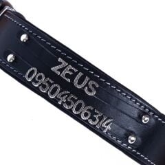 Doggie Konforlu Gerçek Deriden El Yapımı Çift İsimlikli Köpek Boyun Tasması 4x47-55cm - Black