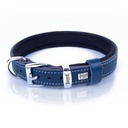 SBT2035SROYALBLUE-picture3Path