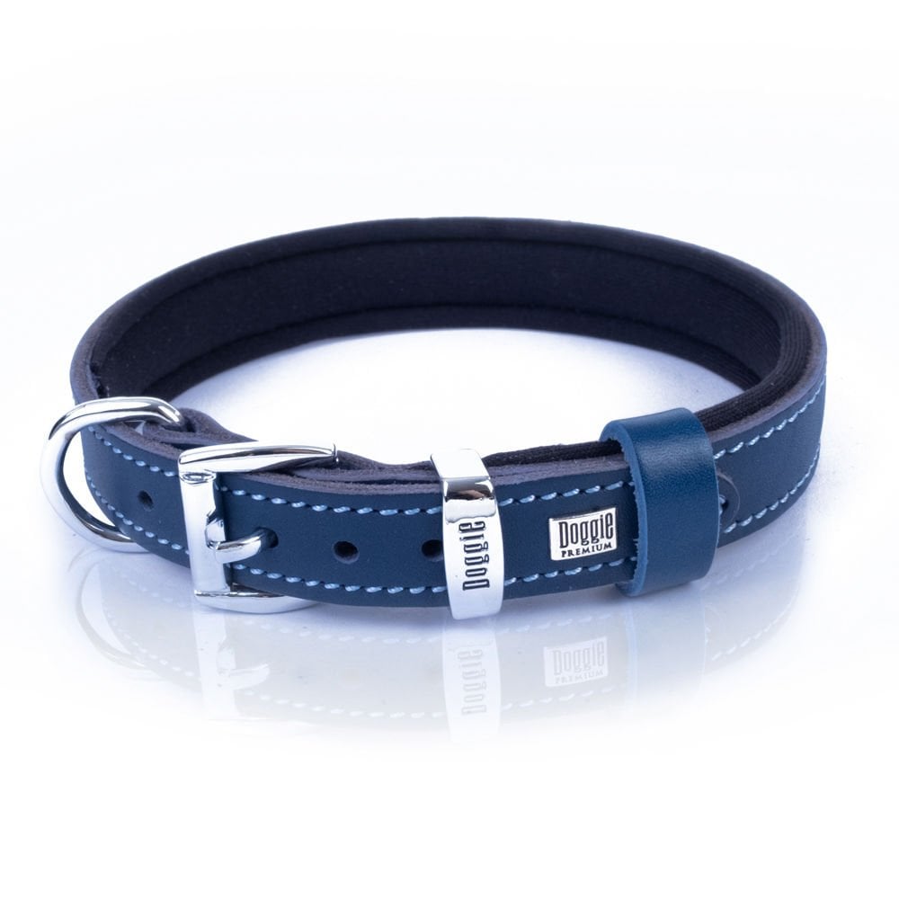 SBT2035MROYALBLUE-picture3Path