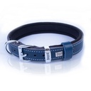 SBT2010MROYALBLUE-picture3Path