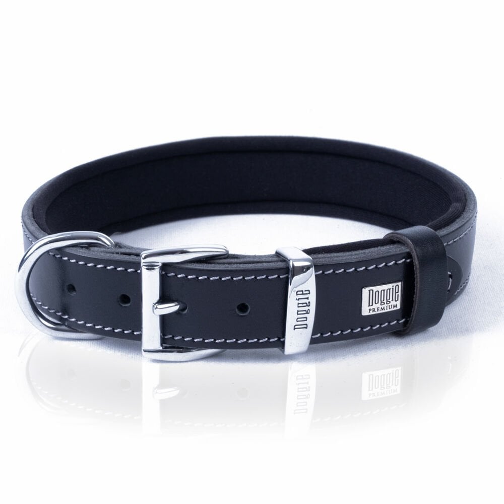 SBT3036MBLACK-picture3Path