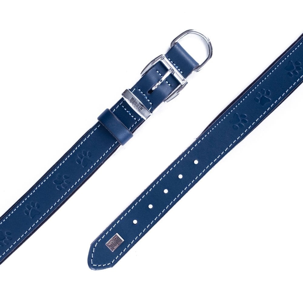 SBT3536MROYALBLUE-picture4Path