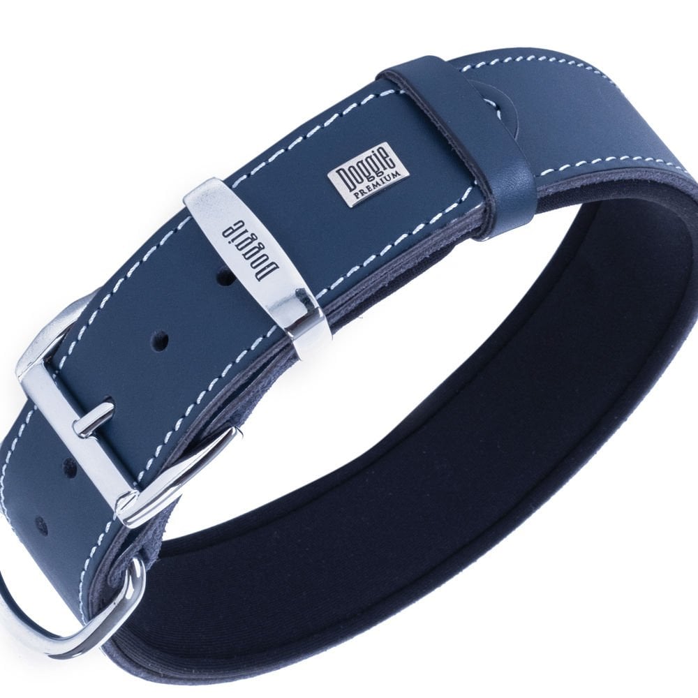 SBT3536LROYALBLUE-picture2Path