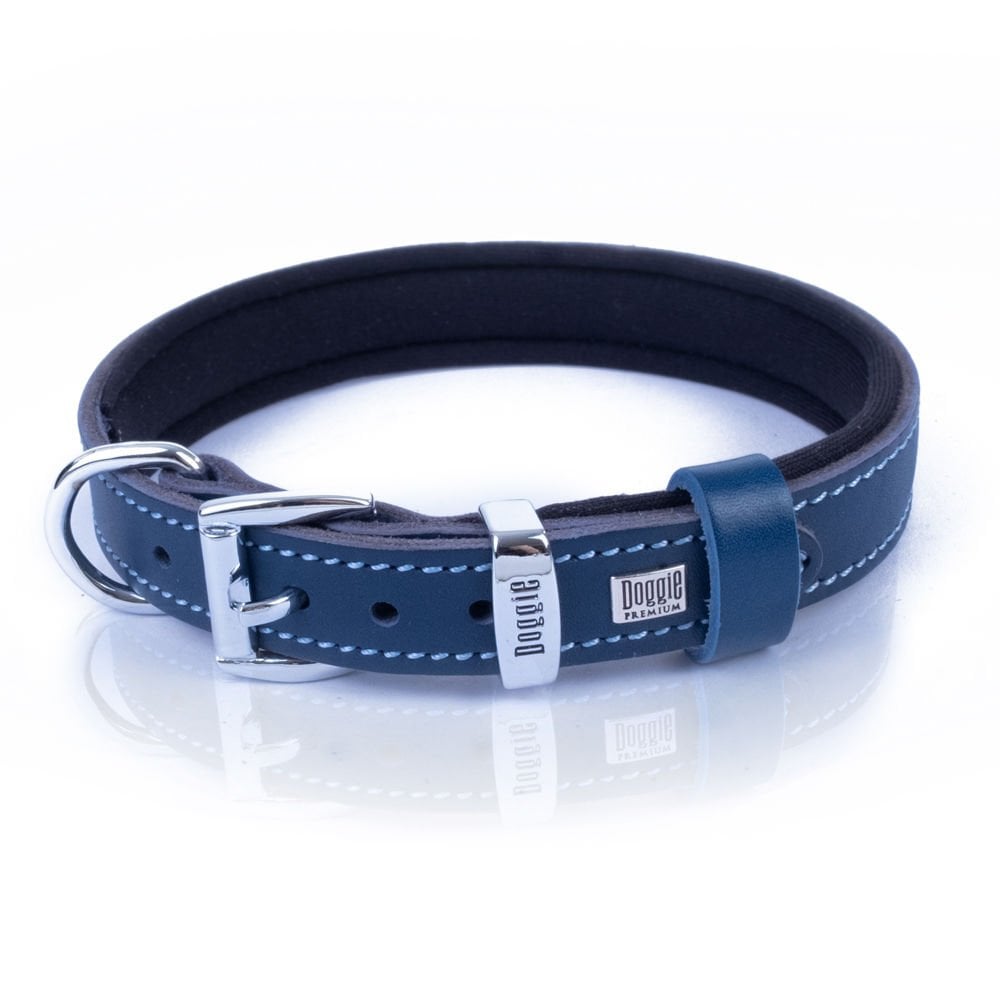 SBT2036SROYALBLUE-picture3Path