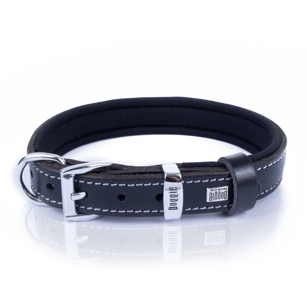 SBT2036MBLACK-picture3Path