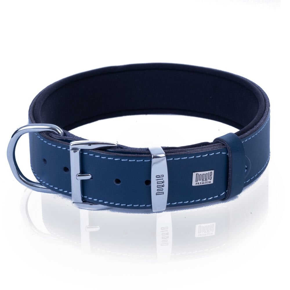 SBT3510MROYALBLUE-picture3Path