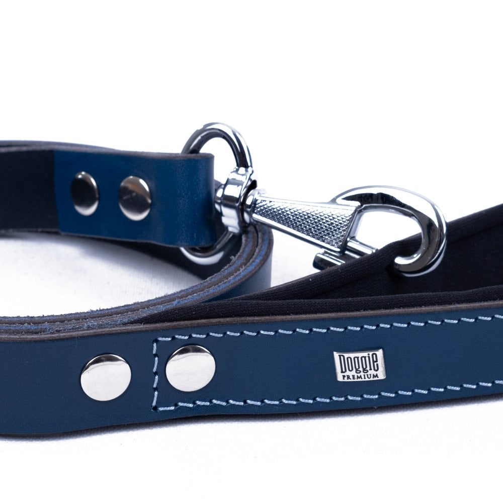 GZT25MROYALBLUE-picture3Path