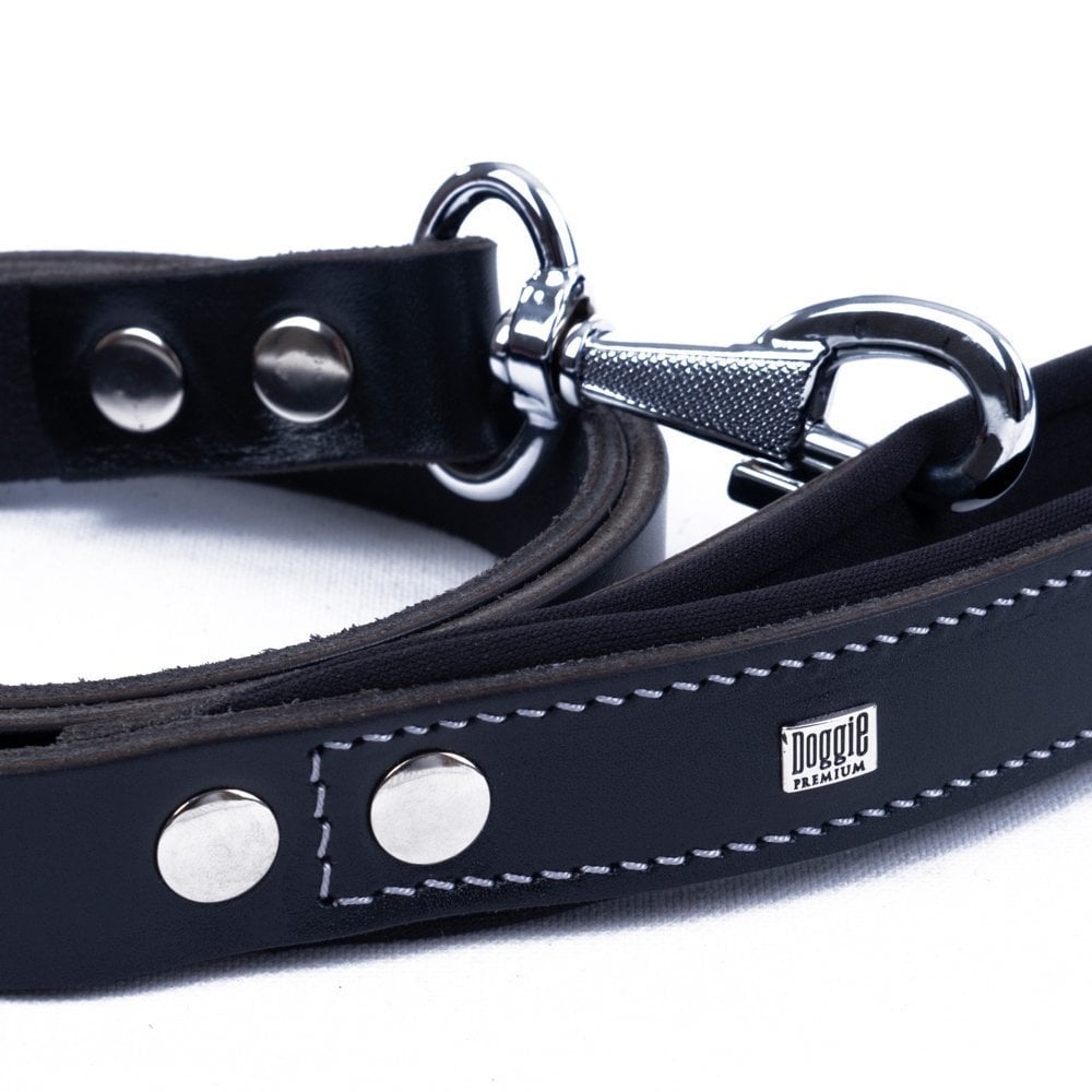 GZT30MBLACK-picture3Path