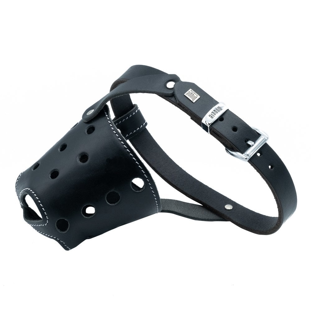 BGKLBLACK-picture2Path