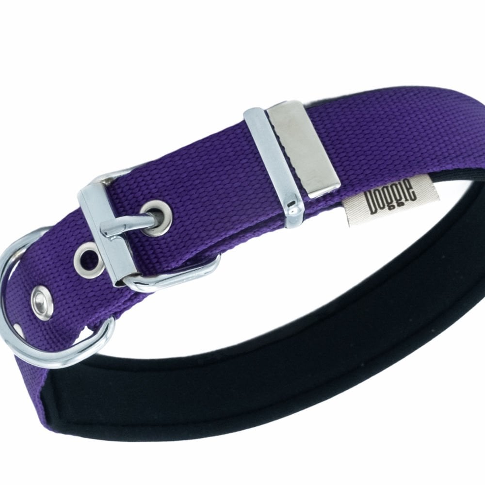 DSBT2510MPURPLE-picture2Path