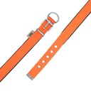 DSBT2510MORANGE-picture3Path