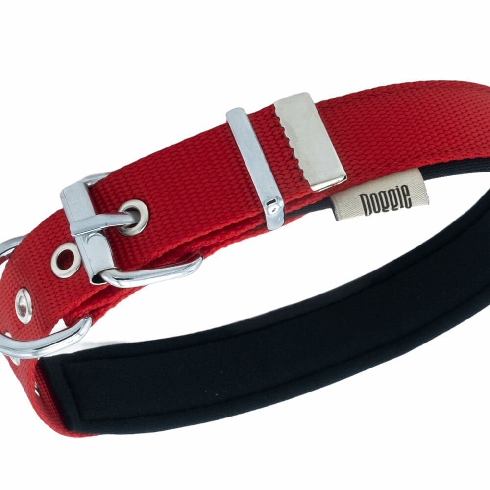 DSBT2510LRED-picture2Path