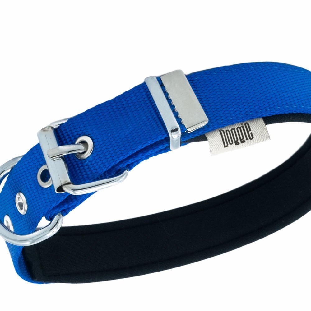 DSBT2510LROYALBLUE-picture2Path