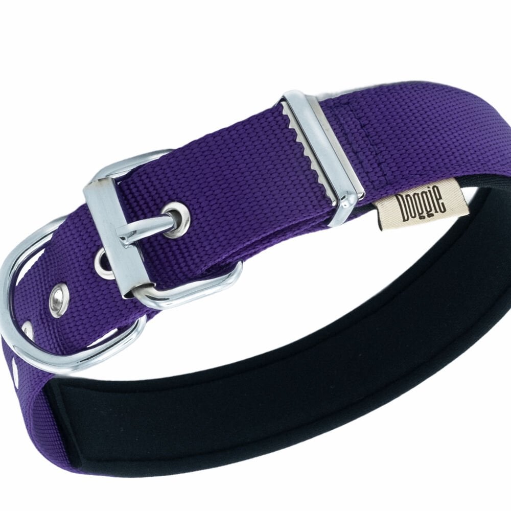 DSBT3010MPURPLE-picture2Path