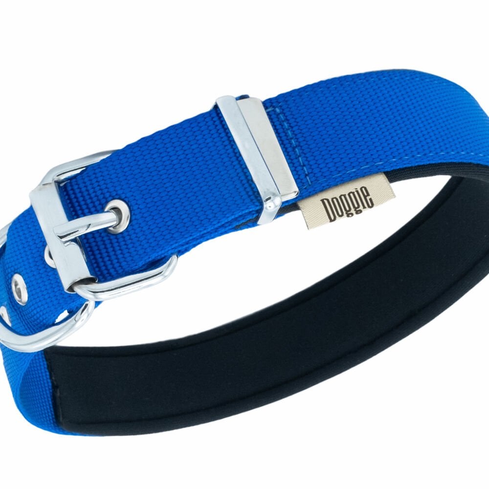 DSBT3010MROYALBLUE-picture2Path