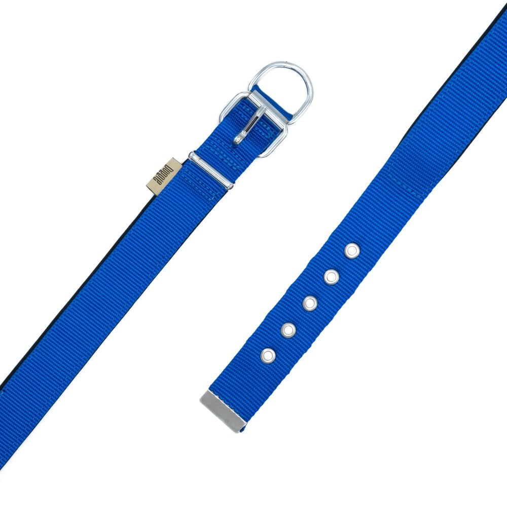 DSBT3010MROYALBLUE-picture3Path