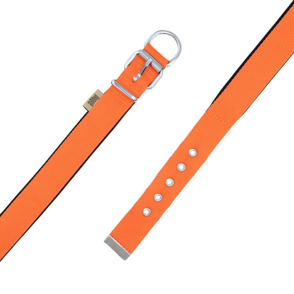 DSBT3010MORANGE-picture3Path