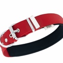 DSBT3010LRED-picture2Path