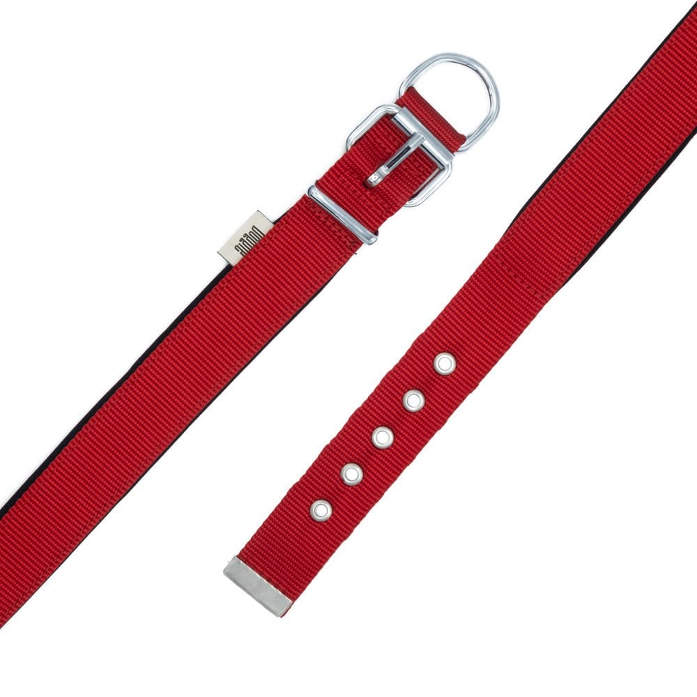 DSBT3010LRED-picture3Path