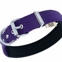 DSBT3010LPURPLE-picture2Path