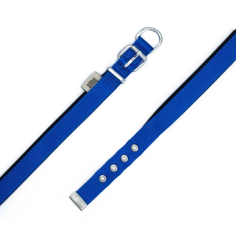 DSBT2010MROYALBLUE-picture3Path