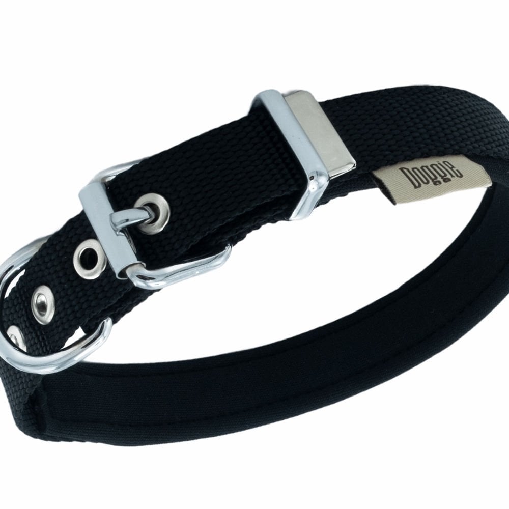 DSBT2010MBLACK-picture2Path