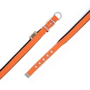 DSBT1510SORANGE-picture3Path