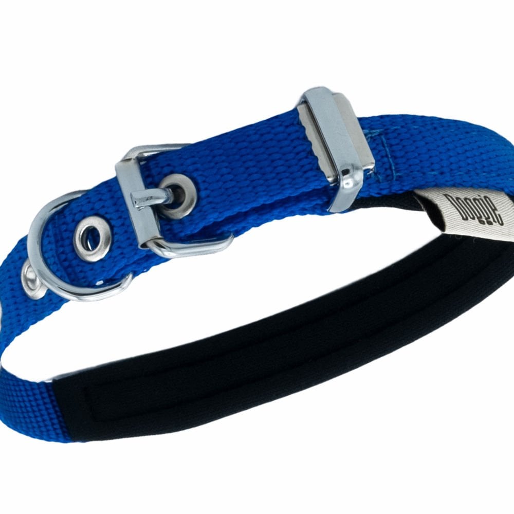 DSBT1510SROYALBLUE-picture2Path