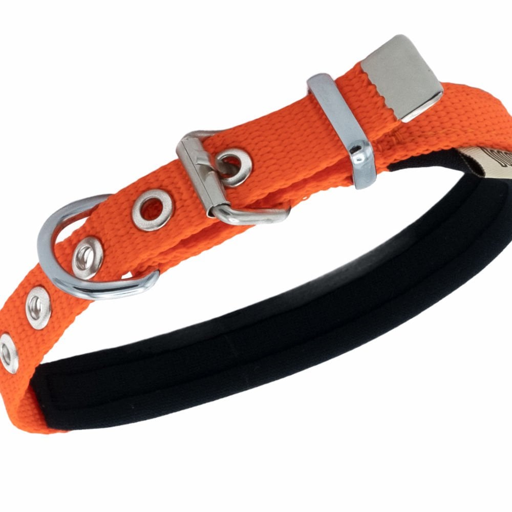 DSBT1510MORANGE-picture2Path