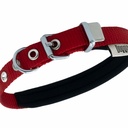 DSBT1510MRED-picture2Path