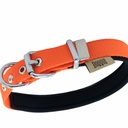 DSBT1510SYELLOW-picture2Path