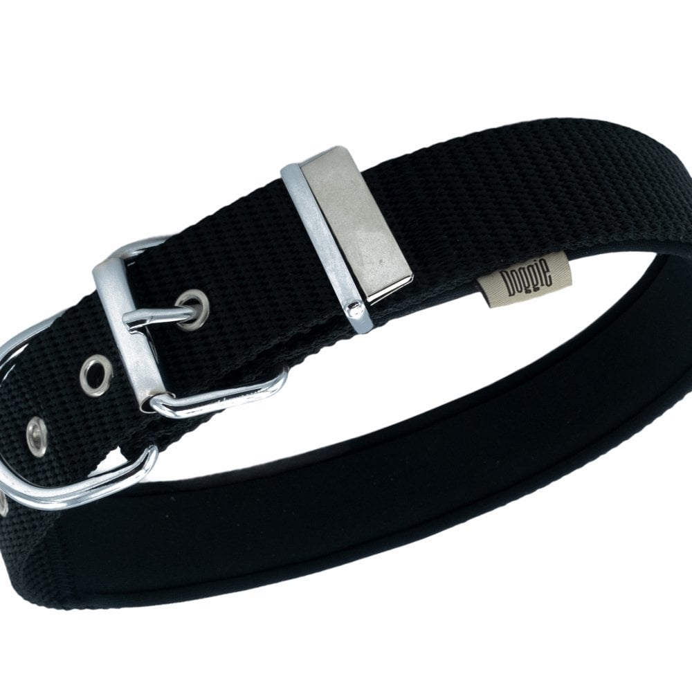 DSBT4010LBLACK-picture2Path