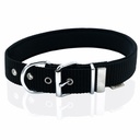 DSBT4012SBLACK-picture2Path