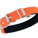 DSBT3062MORANGE-picture2Path