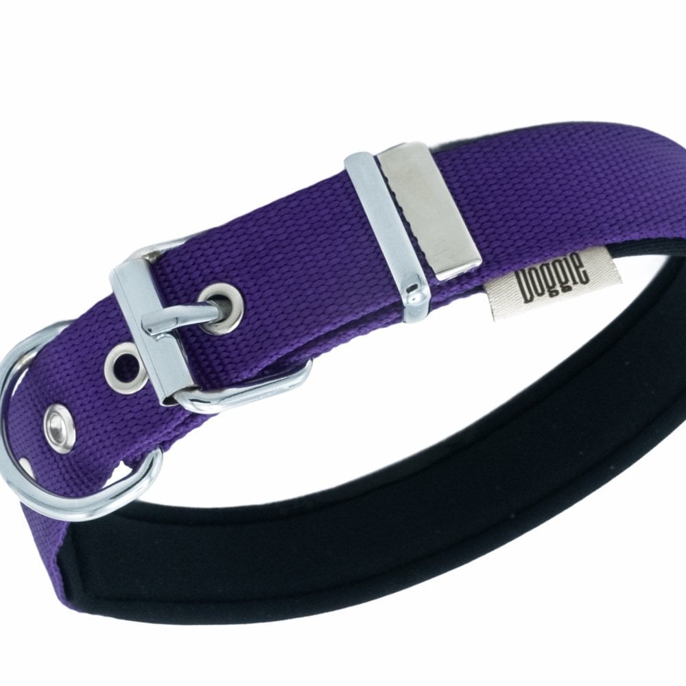 DSBT2562LPURPLE-picture2Path