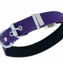 DSBT2562LPURPLE-picture2Path