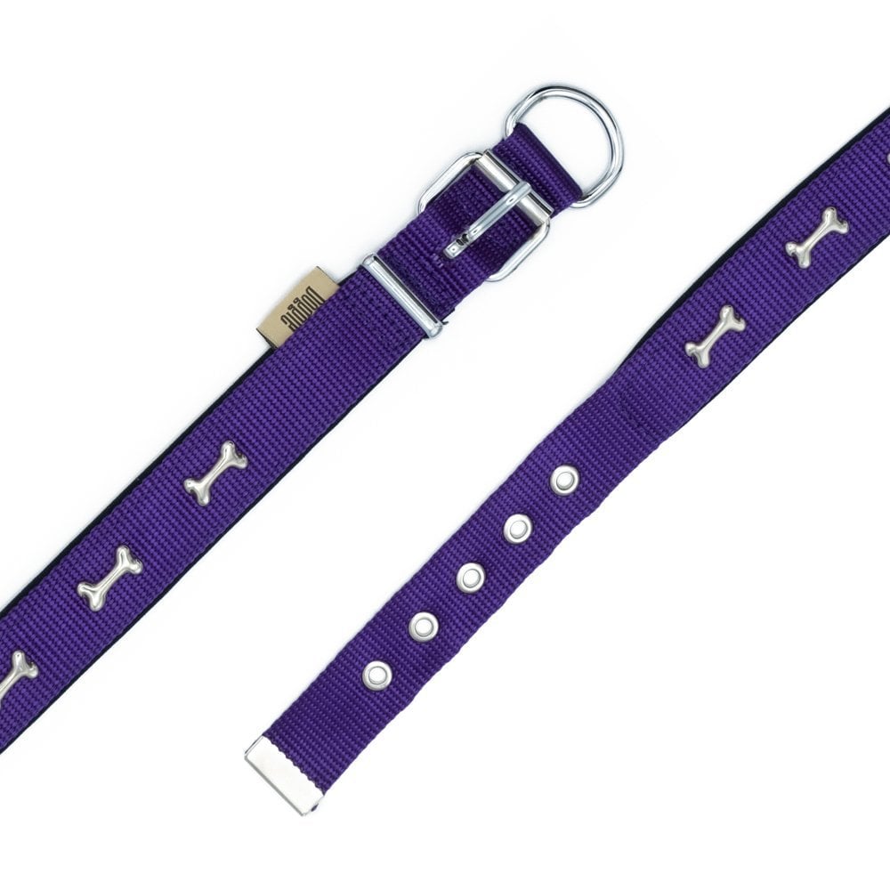 DSBT2562LPURPLE-picture4Path