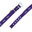DSBT2562LPURPLE-picture4Path