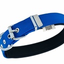 DSBT2562LROYALBLUE-picture2Path
