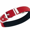 DSBT3062LRED-picture2Path