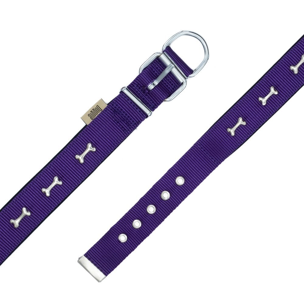 DSBT3062LPURPLE-picture4Path