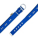 DSBT3062LROYALBLUE-picture4Path