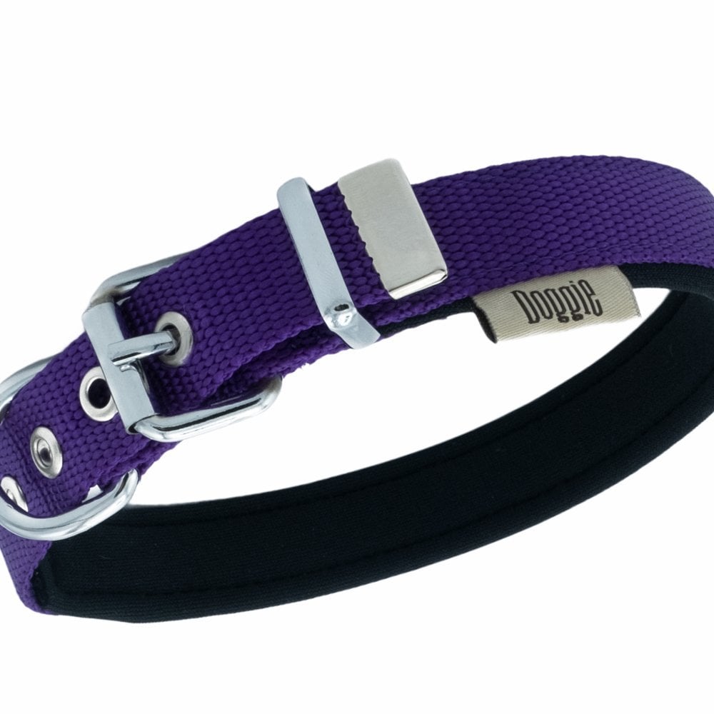 DSBT2062SPURPLE-picture2Path